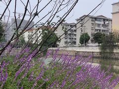 -江南玥养生公馆(宝山店)
