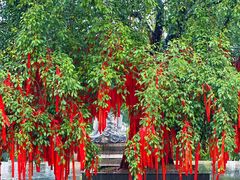 -西双版纳勐泐文化旅游区