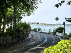 -贡湖湾湿地公园