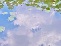 -烈士陵园(地铁站)