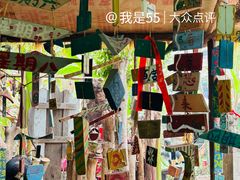 -呀路古热带植物园