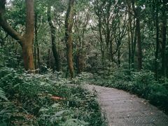 -杭州植物园