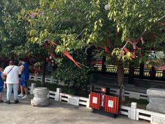 -祥源·阜阳生态乐园