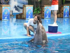 -多彩贵州城极地海洋世界