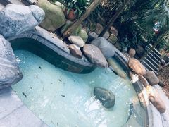 -青城道汤池