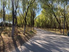 -东郊湿地公园