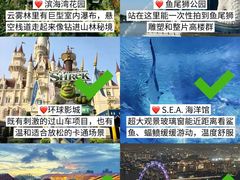 -圣淘沙天际线斜坡滑车
