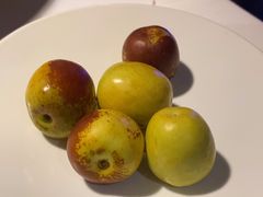 -四季民福烤鸭店(王府井东安门店)