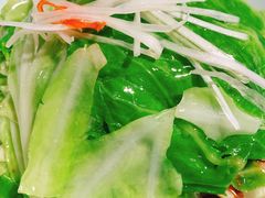-鸭王烤鸭店(三里河店)