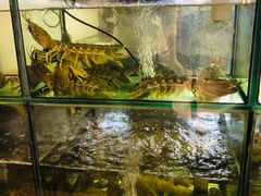 水产区-凯华海鲜火锅·传承三十六年