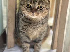 -纳吉亚猫专科动物医院博雅分院