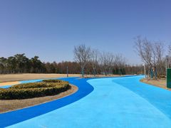 -南汇新城城市公园