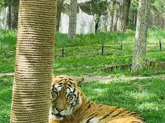 -北京野生动物园