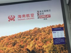 -海南海航航空信息系统公司