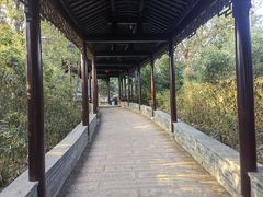 -八大山人梅湖景区
