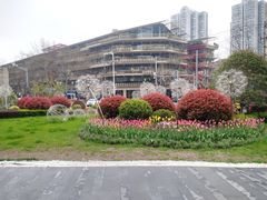 -中海环宇荟