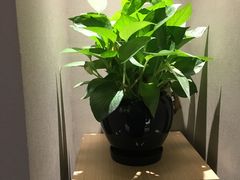 -北京南锣鼓巷亚朵酒店