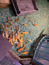 -酷嗒动物文化乐园(cutezoo西溪乐天城店)