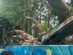 -郑州方特水上乐园