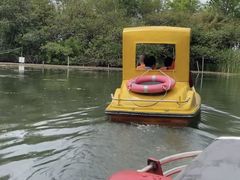 -溱湖国家湿地公园