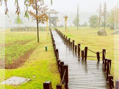 -滨湖塘西河公园