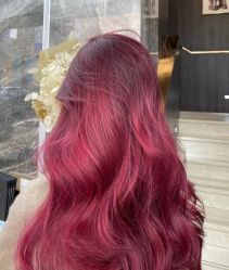 -IP SALON