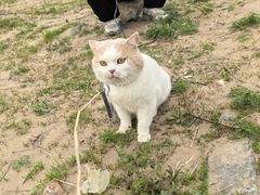 -绿堤公园