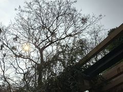 -老君山