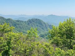 -大岭沟猕猴桃谷风景区