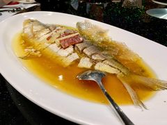 酒香蒸鲥鱼-上海1号私藏菜(静安店)