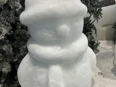 -世界之窗阿尔卑斯冰雪世界
