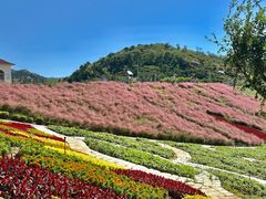 -沂蒙云瀑洞天景区