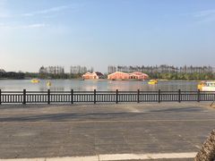 -上海长兴岛郊野公园