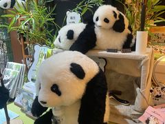 -轩客会(熊猫书店)