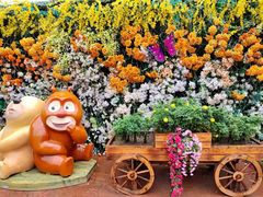 -郑州方特梦幻王国