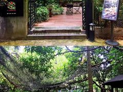 大堂-T館·花园艺术餐厅