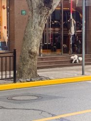 -WWCHAN西服店(茂名南路店)