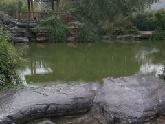 -习家池