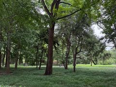 -玲珑塔公园
