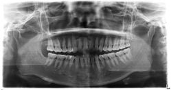 -青苗儿童口腔(长楹天街购物中心)
