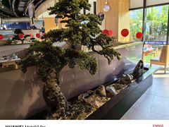-马家斑.鲜鱼火锅(松湖万科店)