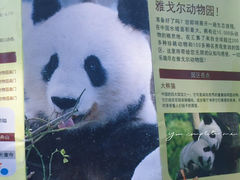 -宁波野生动物园