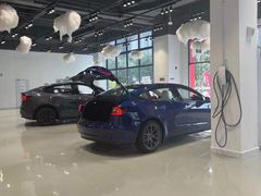 -TESLA 特斯拉(深圳观澜特斯拉直营钣喷中心)