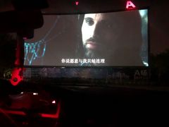 -枫花园汽车电影院(朝阳公园店)