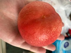 -哈尔滨医科大学附属第一医院(南岗院区)