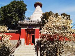 -妙应寺白塔
