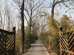 -溱湖国家湿地公园