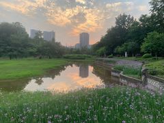 -重庆彩云湖湿地公园
