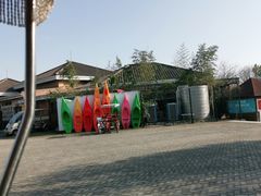 -上海海湾国家森林公园