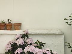 -AHAVA·Fang Baking Studio